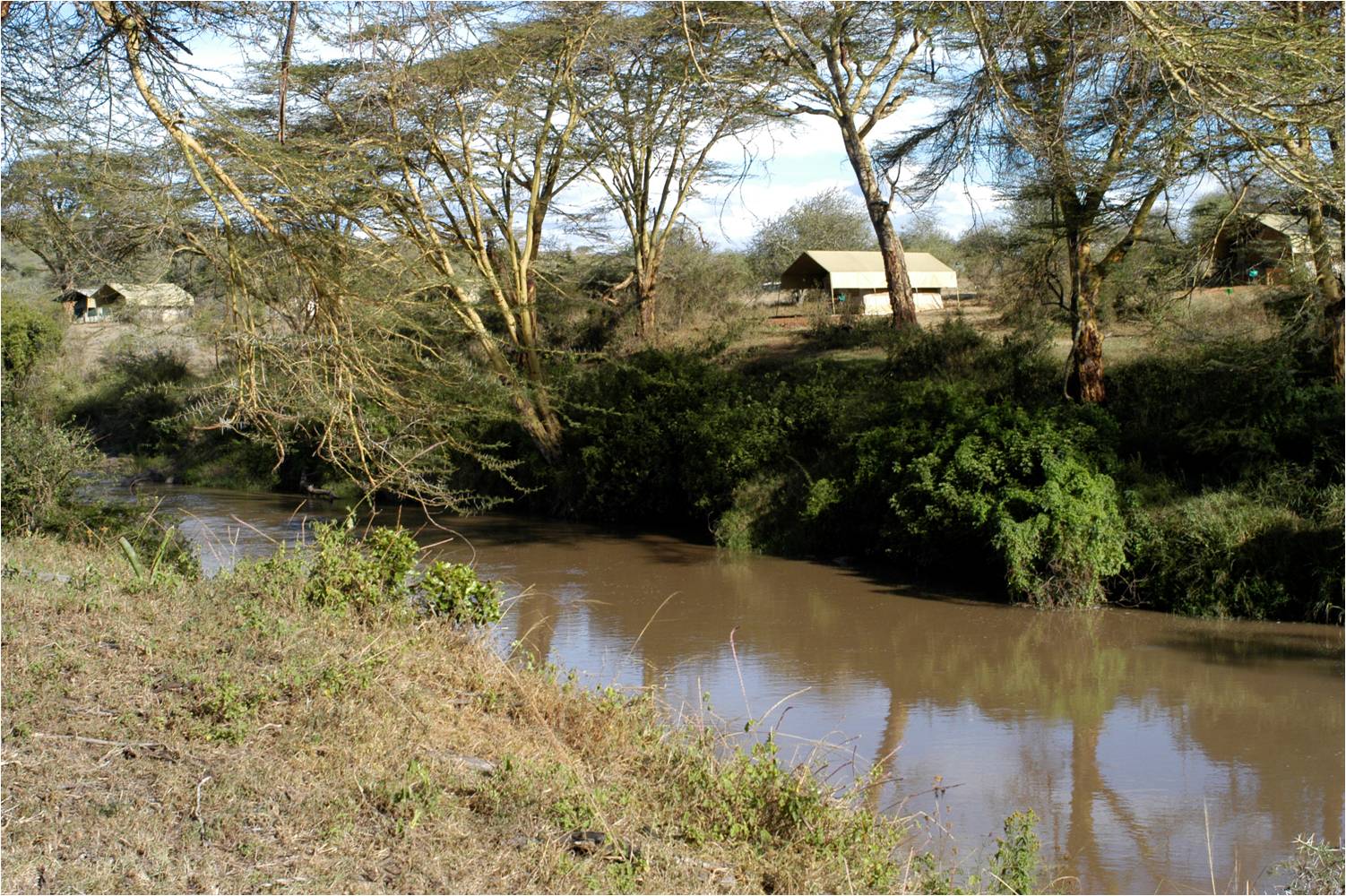 The Ewaso Ng'iro River Camp